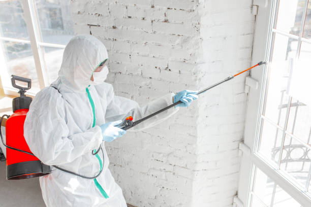 Why You Should Choose Our Mold Remediation Services in Scarsdale, NY